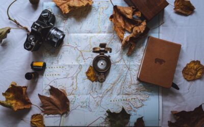 ¿Me conviene viajar ahora?