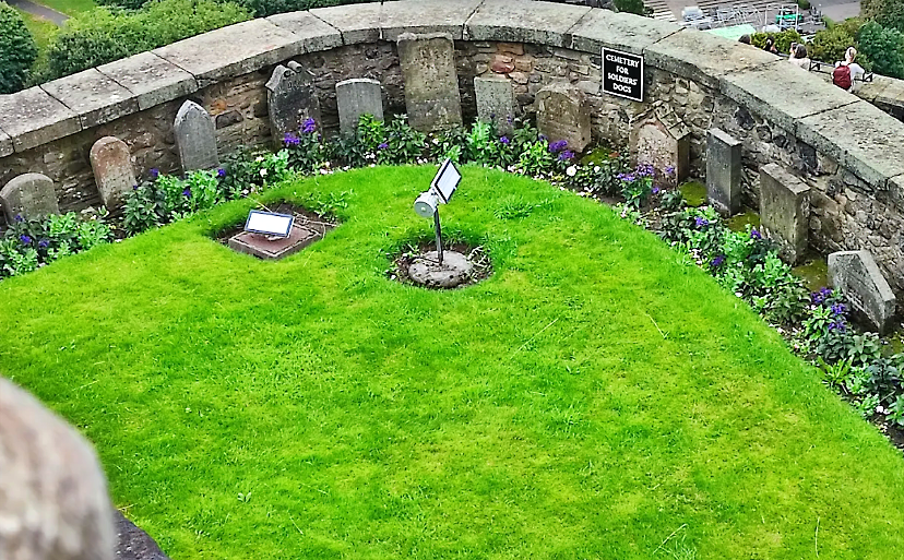 Cementerio de animales1 a plate of food on a table