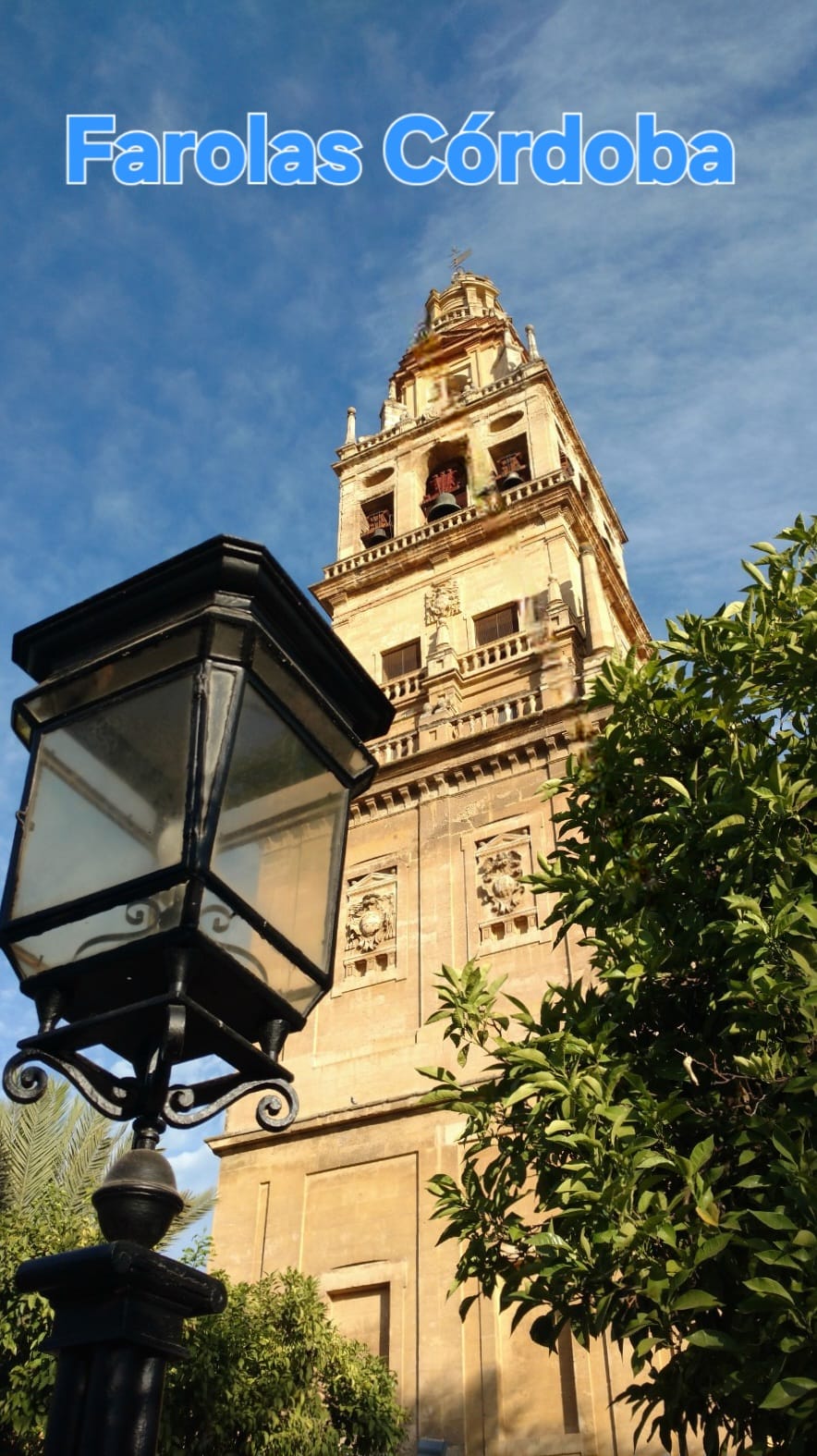 Córdoba a plate of food on a table