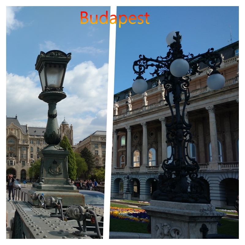 bud a plate of food on a table