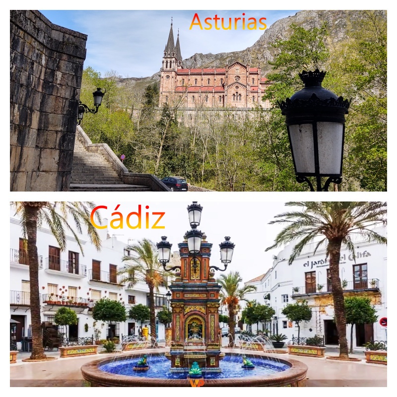 cad a plate of food on a table