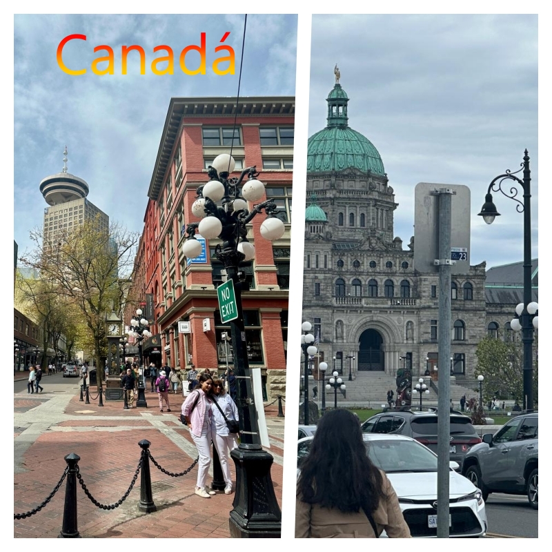 can a plate of food on a table