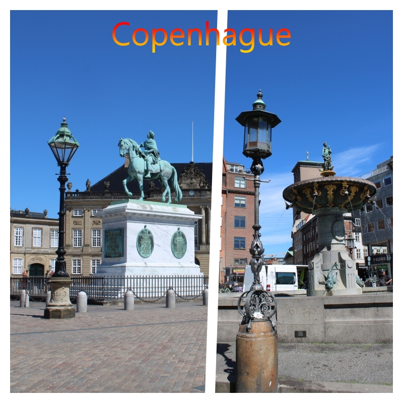 cape a plate of food on a table