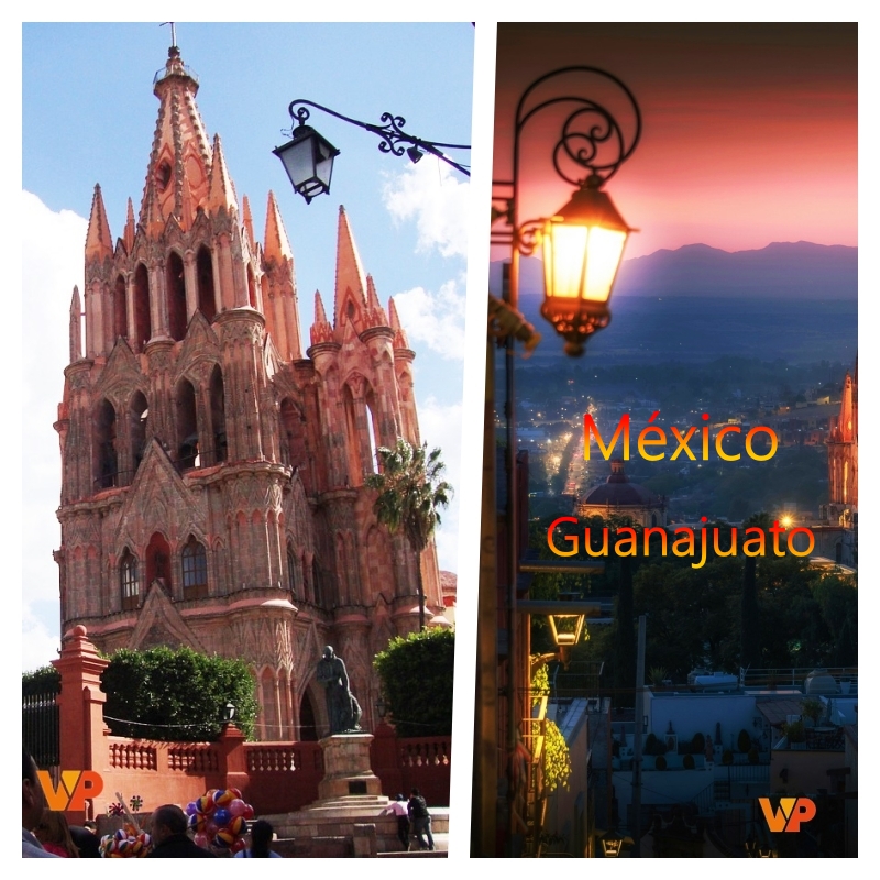 guana a plate of food on a table