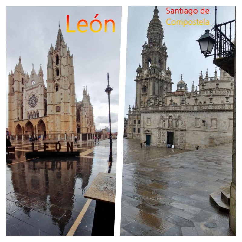 leo a plate of food on a table