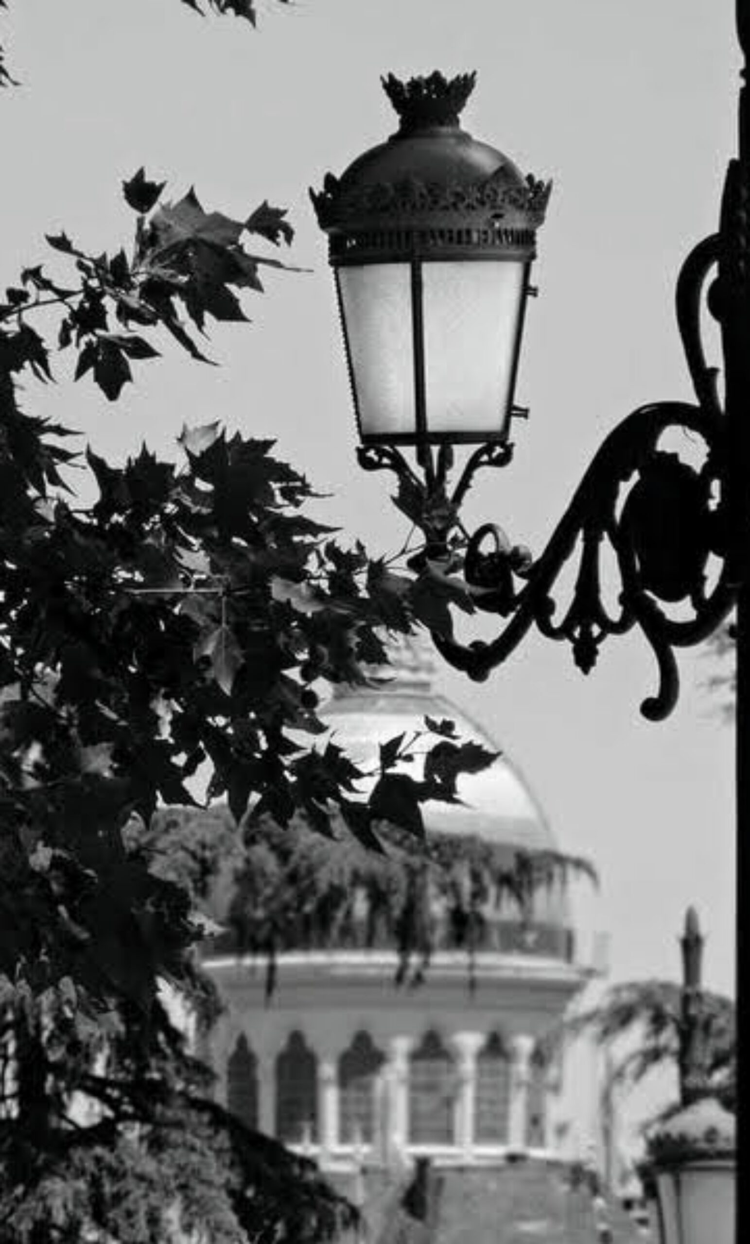 madrid33 a plate of food on a table