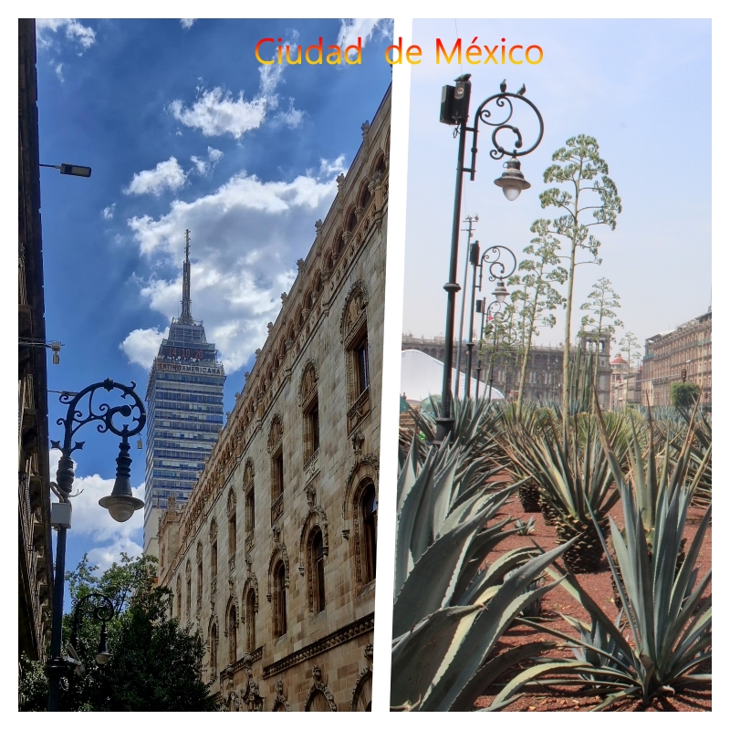 mex a plate of food on a table