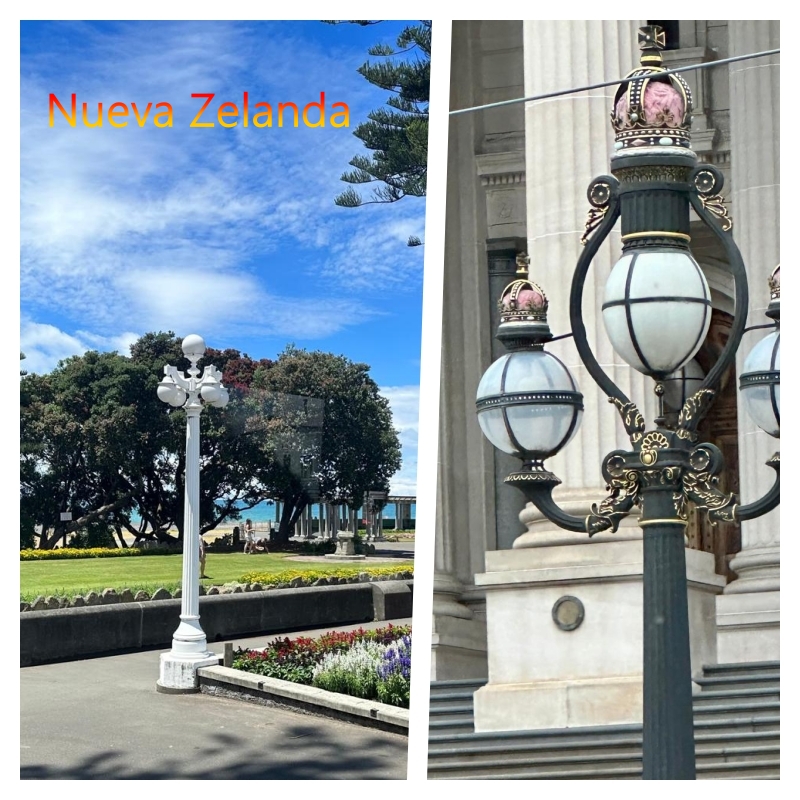 nueva z a plate of food on a table