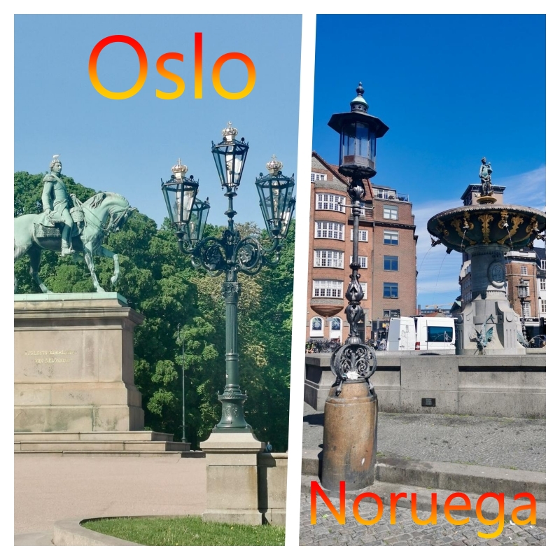 oslo1 a plate of food on a table