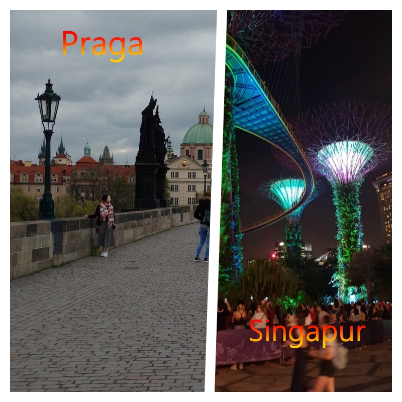 prag a plate of food on a table