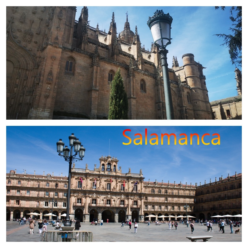 sal1 a plate of food on a table