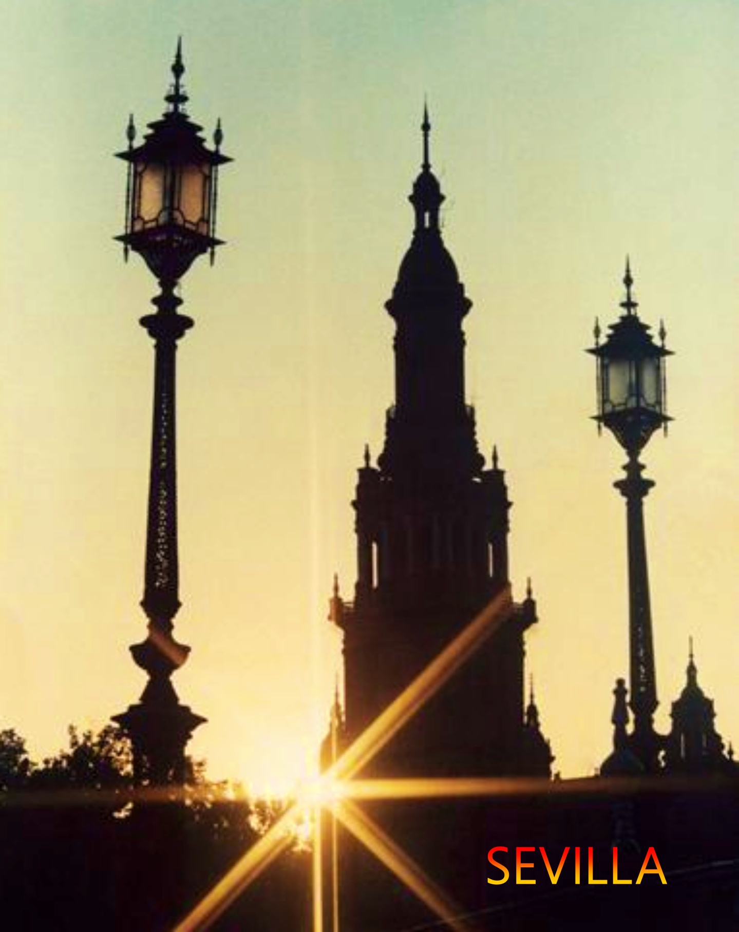 sevilla a plate of food on a table