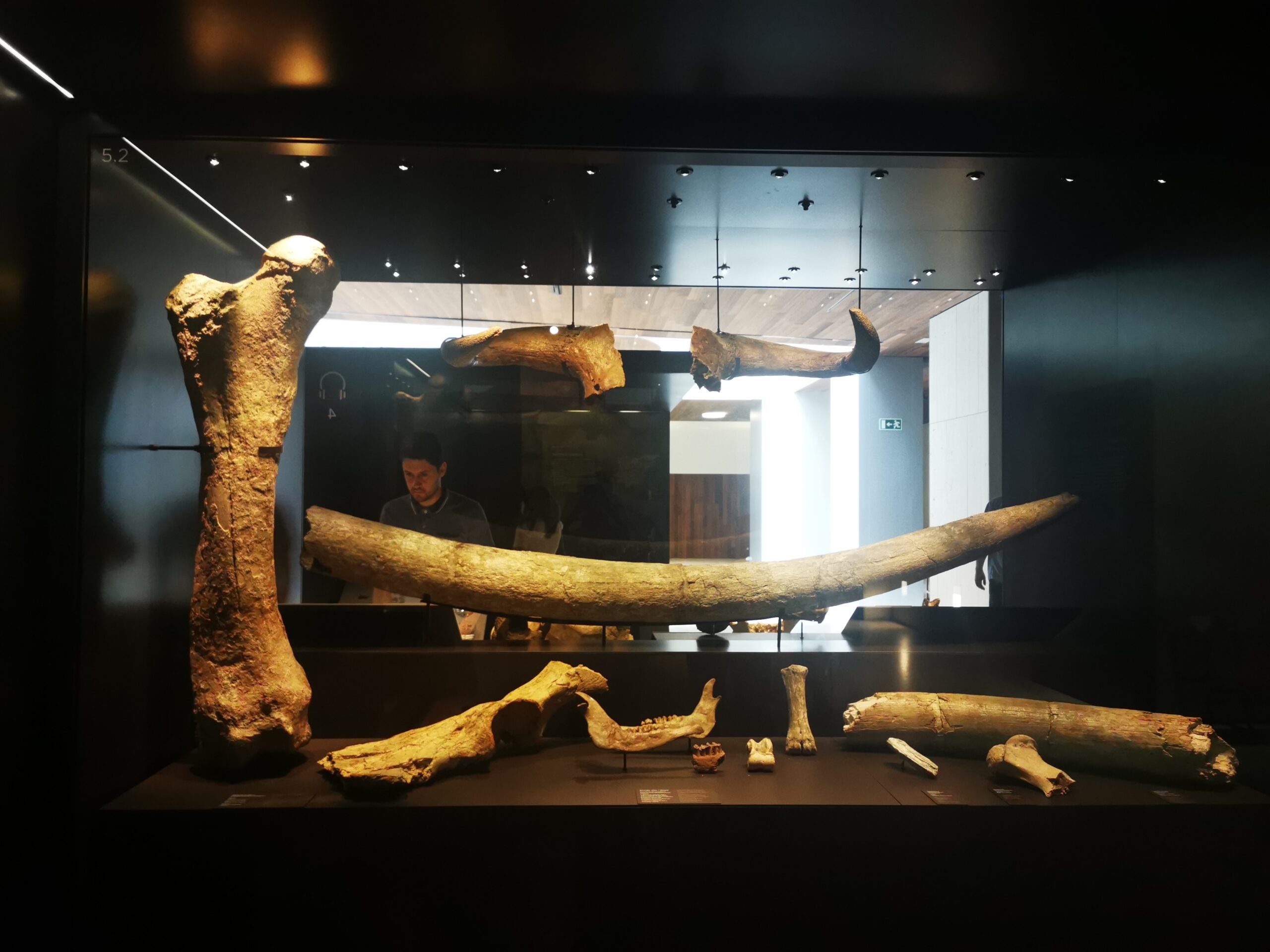 IMG_20230430_140125 IMG 20230430 140125 scaled