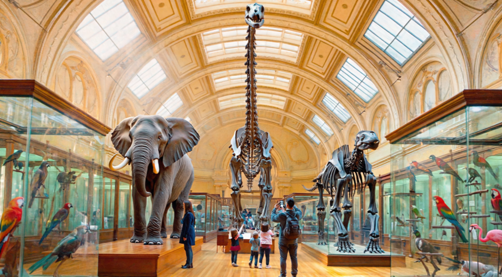 ciencias (3) ciencias 3