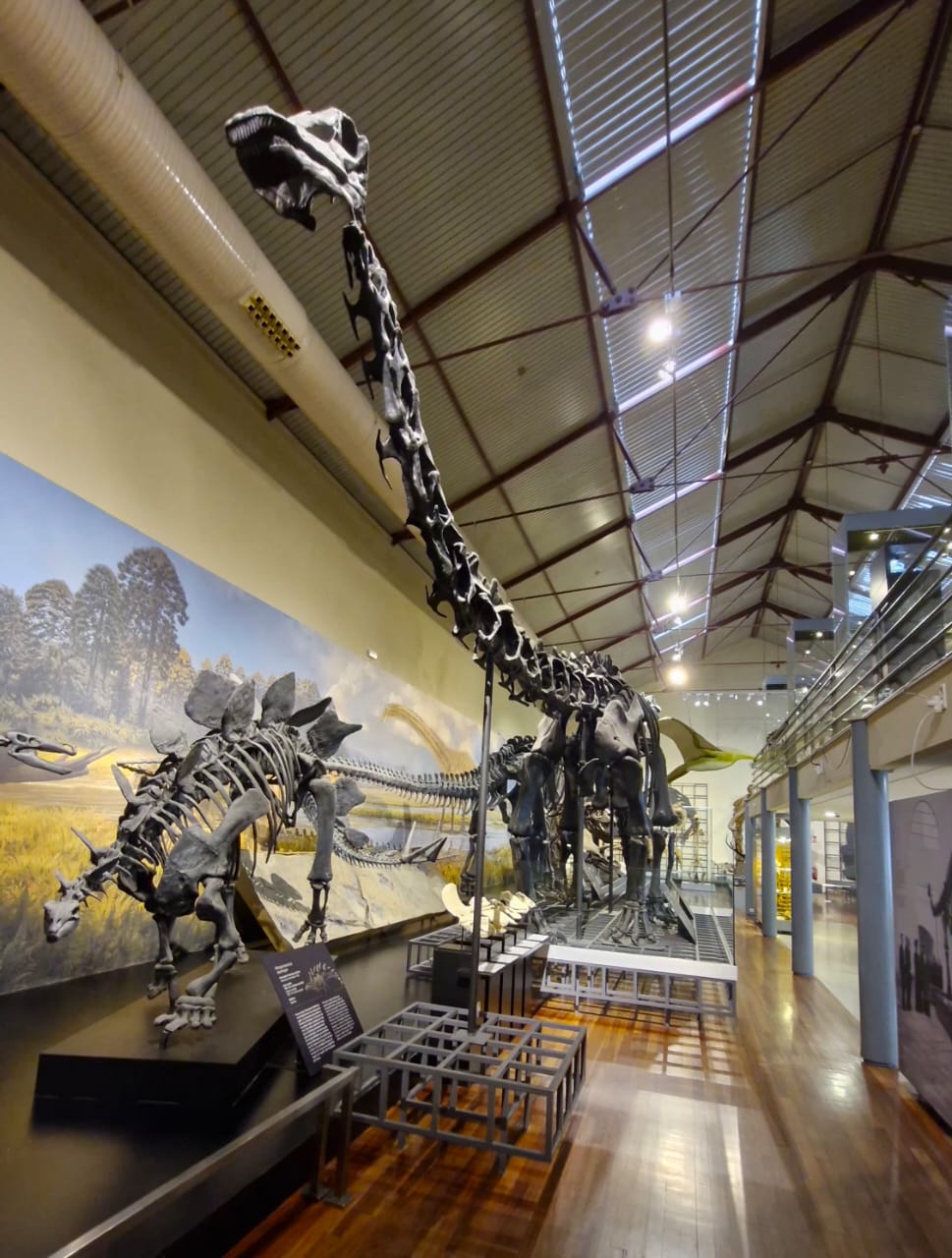 museo ciencias6 museo ciencias6