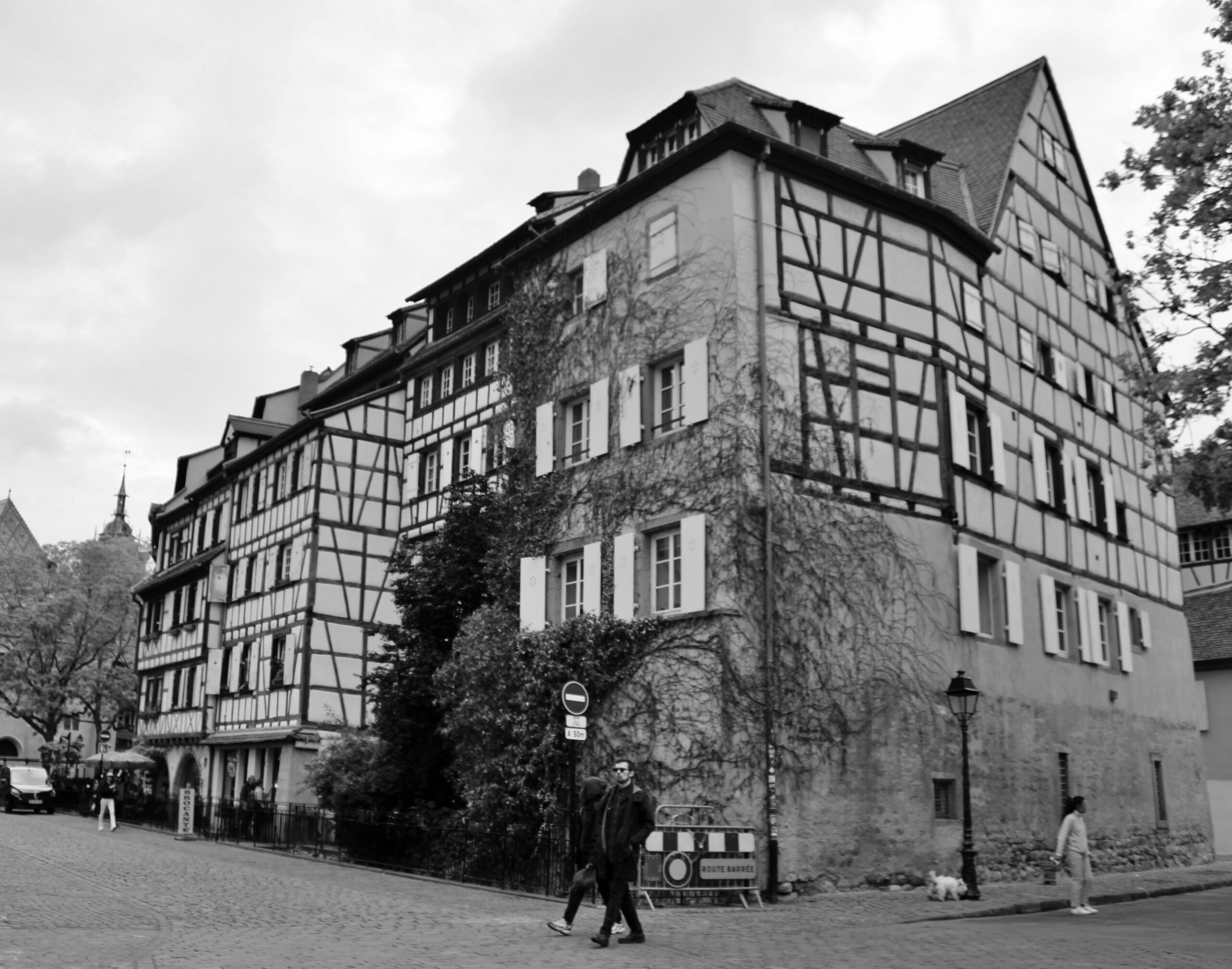 Colmar al lado del mercado scaled