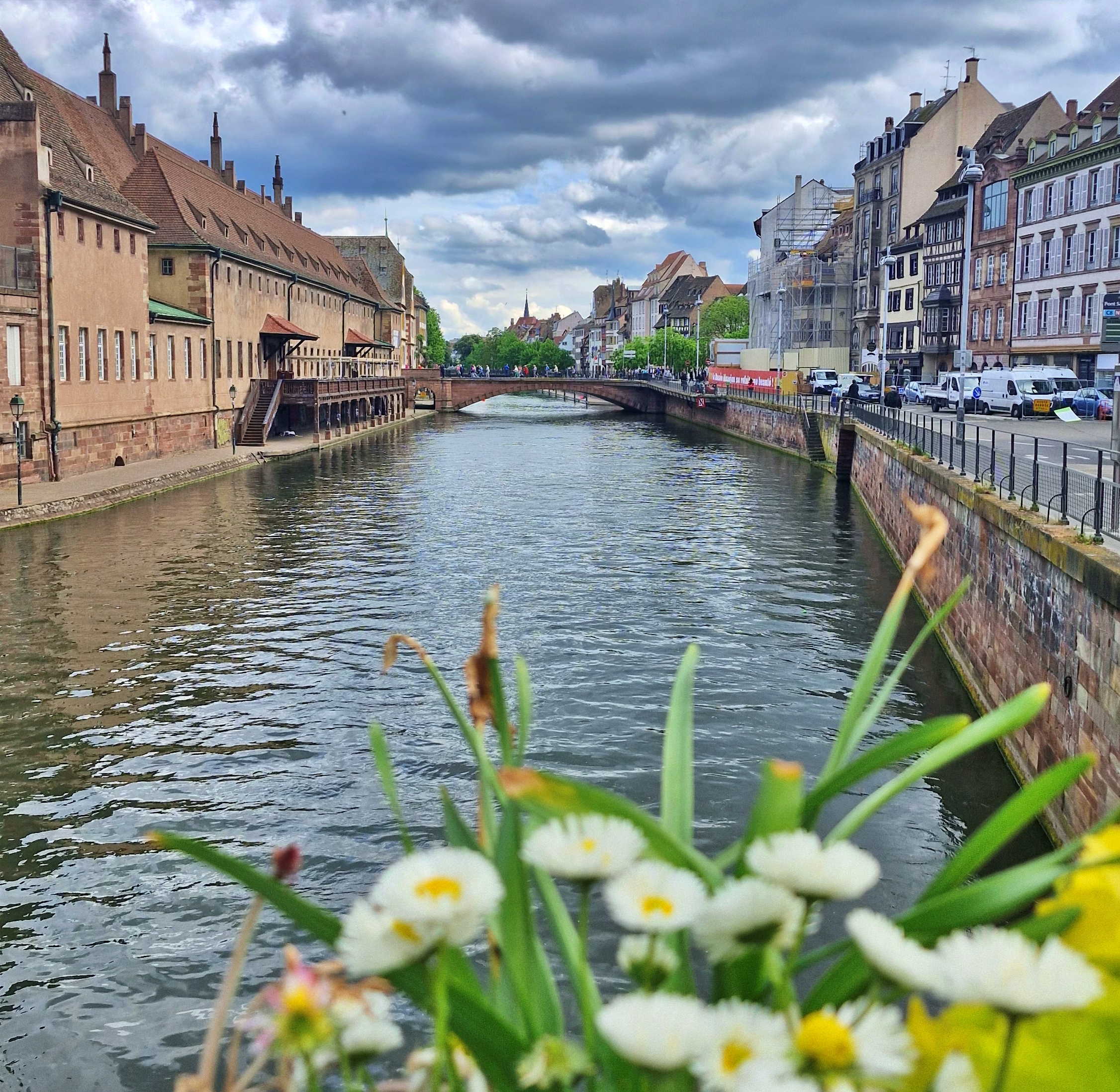 Estrasburgo27