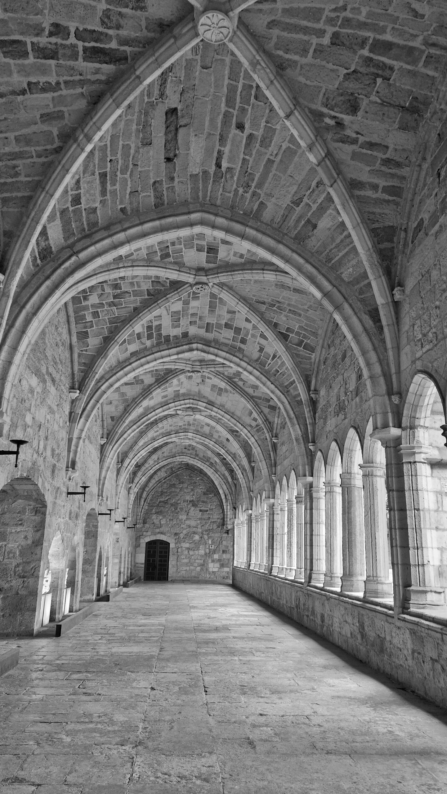 catedral1 scaled